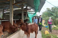Cán bộ Ngân hàng Chính sách xã hội tỉnh Thái Bình kiểm tra việc sử dụng vốn của hộ vay tại huyện Vũ Thư.