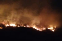 Cháy rừng ở khu vực Tiểu khu 291, thị trấn Bình Liêu, Quảng Ninh. (Ảnh do người dân cung cấp)