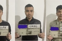 Các đối tượng sử dụng trái phép chất ma túy bị Công an thành phố Móng Cái tạm giữ hình sự.