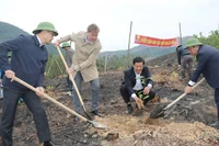 Các đại biểu tham gia trồng cây "Đời đời nhớ ơn Bác Hồ" ở xã phong Dụ, huyện Tiên Yên.