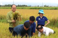 Ông Lê Xuân Cảnh, Giám đốc Sở Nông nghiệp và Môi trường tỉnh Điện Biên cùng nông dân và lãnh đạo huyện Điện Biên kiểm tra, đánh giá hiệu quả mô hình canh tác lúa thông minh giảm phát thải khí nhà kính tại huyện Điện Biên. 