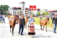 Chuẩn bị vào cuộc đua.