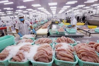 Xuất khẩu thủy sản đang gặp khó.