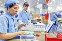 Công nhân tại Công ty TNHH Daiwa Việt Nam, Khu công nghiệp Hòa Khánh, Đà Nẵng. (Ảnh CÔNG VINH)