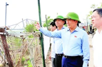 Chủ tịch Hội đồng nhân dân thành phố Hà Nội Nguyễn Ngọc Tuấn thị sát tình hình quản lý đất đai khu vực ngoài đê sông Hồng.
