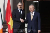 Tổng Bí thư, Chủ tịch nước Tô Lâm hội kiến với Thủ tướng Ireland Simon Harris. (Ảnh: TTXVN)