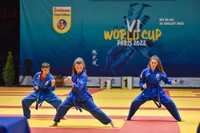 Một tiết mục trình diễn võ thuật trong đêm chung kết Giải vô địch thế giới Vovinam - Việt Võ Đạo lần thứ 6 (2022).
