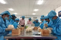 Sơ chế dừa tươi phục vụ xuất khẩu tại Bến Tre. 