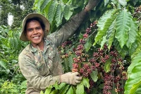 Kinh tế tư nhân đang trở thành một động lực quan trọng trong việc thúc đẩy phát triển kinh tế tại các vùng sâu, vùng xa của Việt Nam, nơi điều kiện kinh tế-xã hội còn nhiều khó khăn.