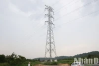Do bị chồng lấn nên trụ điện T20 của Dự án Trạm biến áp 220kV Krông Ana được xây dựng trên đường Hồ Chí Minh đoạn tránh phía đông thành phố Buôn Ma Thuột.
