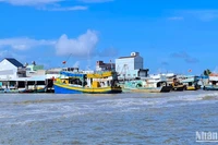 Ngộ độc do ăn cá nóc tại Cà Mau thường xảy ra ở vùng ven biển, nơi có nhiều hình thức khai thác và dễ dàng bắt được cá nóc. 