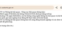 Thông báo trên trang web của Tổng cục Hải quan.