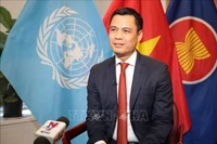 Đại sứ đặc mệnh toàn quyền, Trưởng Phái đoàn đại diện thường trực Việt Nam tại Liên hợp quốc Đặng Hoàng Giang trả lời phỏng vấn TTXVN tại New York. Ảnh: Hoài Thanh/Phóng viên TTXVN tại Mỹ 