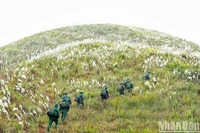 Ảnh minh họa: Thành Đạt