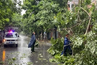 Cán bộ, chiến sĩ Công an phường Lộc Hoà, Thành phố Nam Định thu dọn cây gãy đổ cản trở giao thông trên địa bàn.