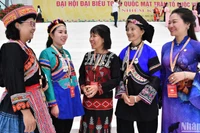 Đại biểu tham dự Đại hội đại biểu toàn quốc Mặt trận Tổ quốc Việt Nam lần thứ X. (Ảnh: DUY LINH)