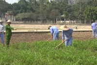 Học viên tham gia lao động sản xuất.