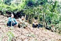 Các lực lượng khoanh vùng để chống cháy lan, khống chế và dập tắt cháy rừng tại xã Phú Đình, huyện Định Hóa.