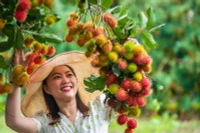 Long Khánh được xem là "thủ phủ' của nhiều loại trái cây ngon nức tiếng ở Đông Nam Bộ.