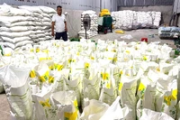 Công ty TNHH TM DV Phát Tiến Triển có dấu hiệu sản xuất, buôn bán phân bón giả.