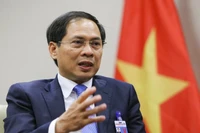 Bộ trưởng Ngoại giao Bùi Thanh Sơn. (Ảnh: TTXVN)