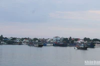 Quảng Nam tổ chức cấm biển kể từ 7 giờ ngày 25/9, đến nay, nhiều tàu thuyền đã vào nơi trú ấn.
