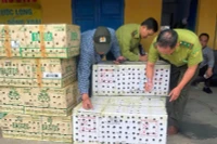 Kiểm lâm Huế từng phát hiện, thả khoảng 1000 cá thể chim chào mào được săn bắt trái phép tập kết tại bến xe phía bắc vào cuối năm 2024. 