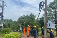 Ngành điện tỉnh Bến Tre nỗ lực đưa lưới điện về vùng sâu, vùng xa.