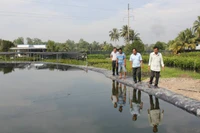 Người dân huyện Chợ Lách (tỉnh Bến Tre) đào ao, trữ nước ngọt phục vụ sản xuất trong mùa hạn mặn. (Ảnh: HOÀNG TRUNG)