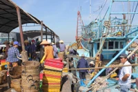 Tỉnh Bến Tre quản lý chặt chẽ việc khai thác hải sản trên biển.