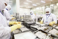 Chế biến thủy sản xuất khẩu tại Công ty CP Thủy sản Cafatex Hậu Giang. (Ảnh TRẦN TUẤN) 