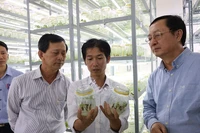 Lãnh đạo Bộ Khoa học và Công nghệ kiểm tra quy trình nhân giống sâm Ngọc Linh tại Trung tâm Ươm tạo và Hỗ trợ doanh nghiệp khoa học công nghệ (huyện Ðăk Tô, tỉnh Kon Tum). 