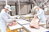Cơ sở giết mổ gia súc hiện đại tại xã Vạn Phúc, huyện Thanh Trì. 