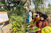 Các đại biểu tham gia trải nghiệm thiền hành hái thuốc trong "Vườn thuốc đời người Đền Thánh Nguyễn".