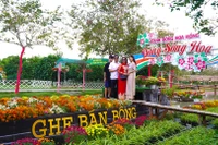Thành công từ Festival hoa kiểng đầu tiên ở miền Tây Nam Bộ
