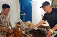 Tang vật thu giữ trong một vụ án buôn bán trái phép động vật hoang dã.