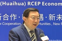 Chuyên gia Hứa Ninh Ninh, Giám đốc điều hành Hội đồng Kinh doanh Trung Quốc-ASEAN. 