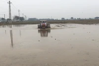 Nông dân tỉnh Nam Định làm đất chuẩn bị gieo cấy lúa đông xuân.