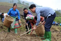 Đồng chí Đỗ Đức Duy, Bí thư tỉnh uỷ Yên Bái tham gia lao động trong “Ngày cuối tuần cùng dân”.