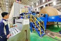 Hàng loạt nhà máy công suất lớn đã tạo ra sự phát triển đúng hướng cho ngành giấy.