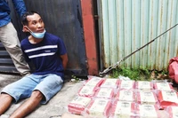 Bắt giữ đối tượng Trương Ngọc Điệp cùng tang vật.