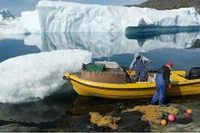 [Video] Greenland "bật đèn xanh" hợp tác khoáng sản với EU 