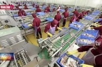 Công nghệ sinh học phát triển nuôi biển bền vững