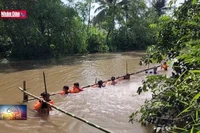 Hiệu quả từ các lớp dạy bơi cho trẻ em trong dịp hè