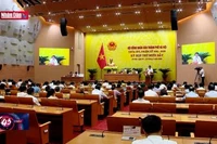 Hà Nội thay thế toàn bộ xe buýt chạy diezel sau năm 2035