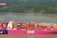 Kinh tế Việt Nam có thể đạt mức cao nhất khu vực Đông Nam Á