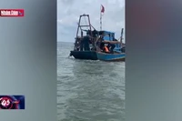 Cứu 2 ngư dân khi tàu cá bị chìm