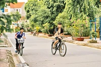 Những tuyến đường xanh, sạch, đẹp là kết quả của quá trình xây dựng nông thôn mới ở huyện Đan Phượng.