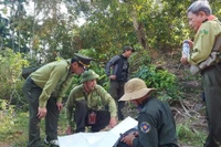 Lực lượng kiểm lâm tỉnh Quảng Ngãi kiểm tra bảo vệ rừng.
