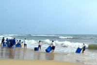 Thả cá giống xuống vùng biển xã Tam Tiến, huyện Núi Thành (Quảng Nam). 